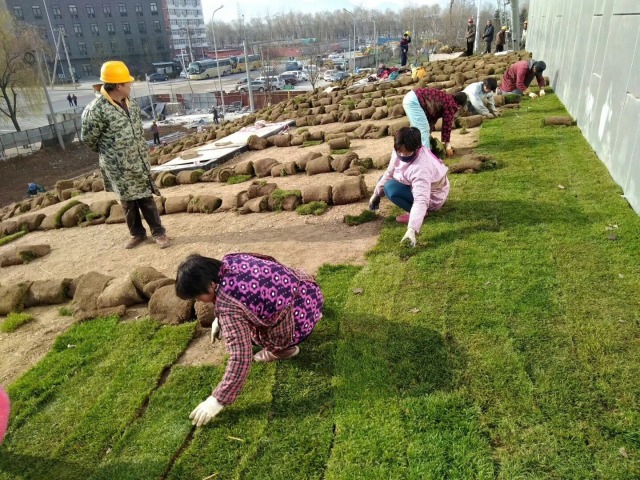 风采展示