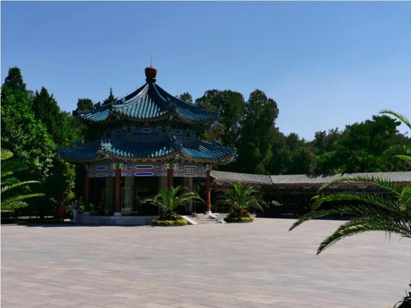 北京推出111個公園賞花(huā)片區(qū)